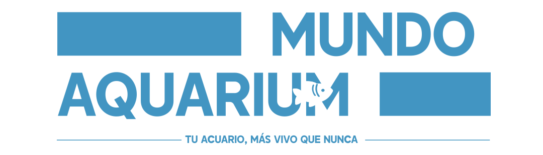 Mundo Aquarium