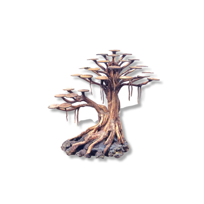 BONSAI RASAMALA