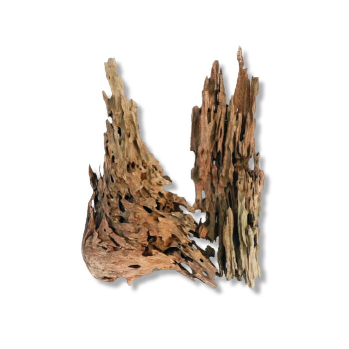 DRAGON WOOD