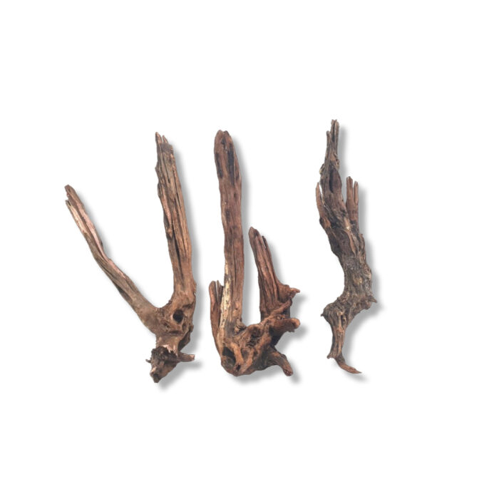 DRIFT WOOD