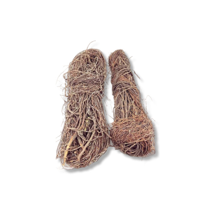 HANGING ROOT