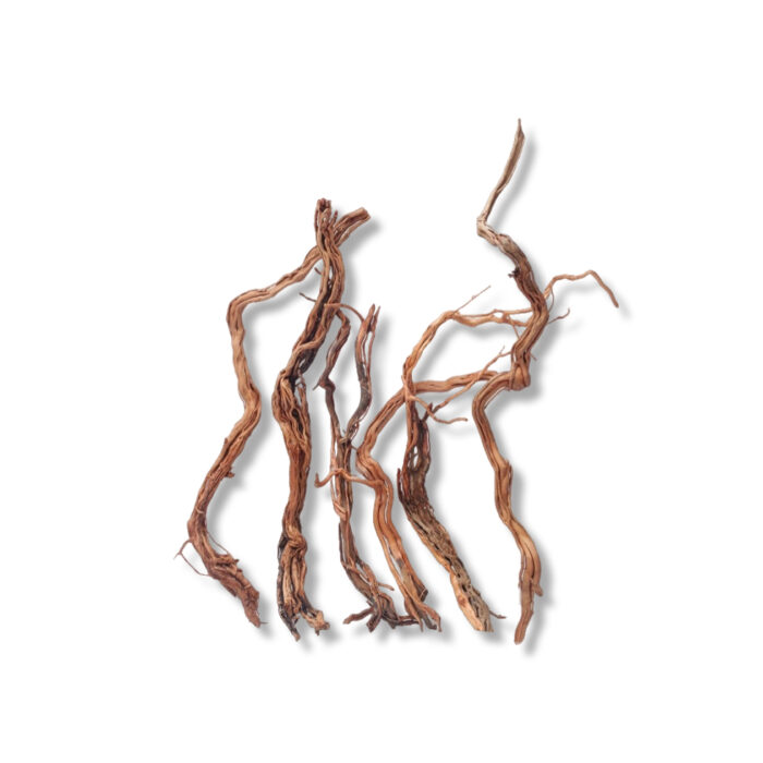 RAMAS TWIST ROOT