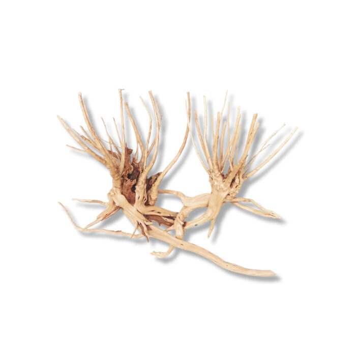 SLIM WOOD